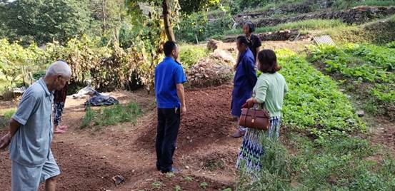 ˵��: �ֲ˷���2