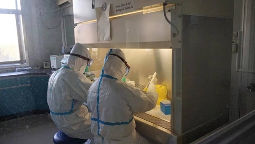 ΢ͼƬ_20200205110618