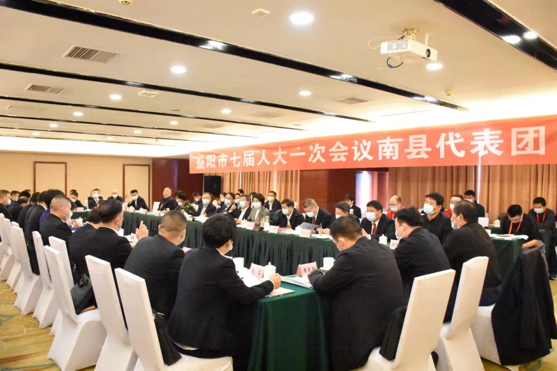 瞿海参加南县代表团集中讨论时强调 促进经济发展质的稳步提升和量的合理增长
