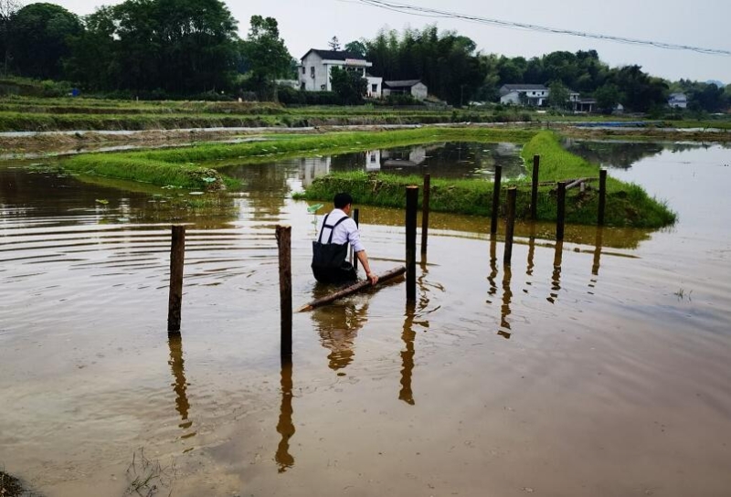 3bd4772a4e27c9d0f5bd750e6b9ad538