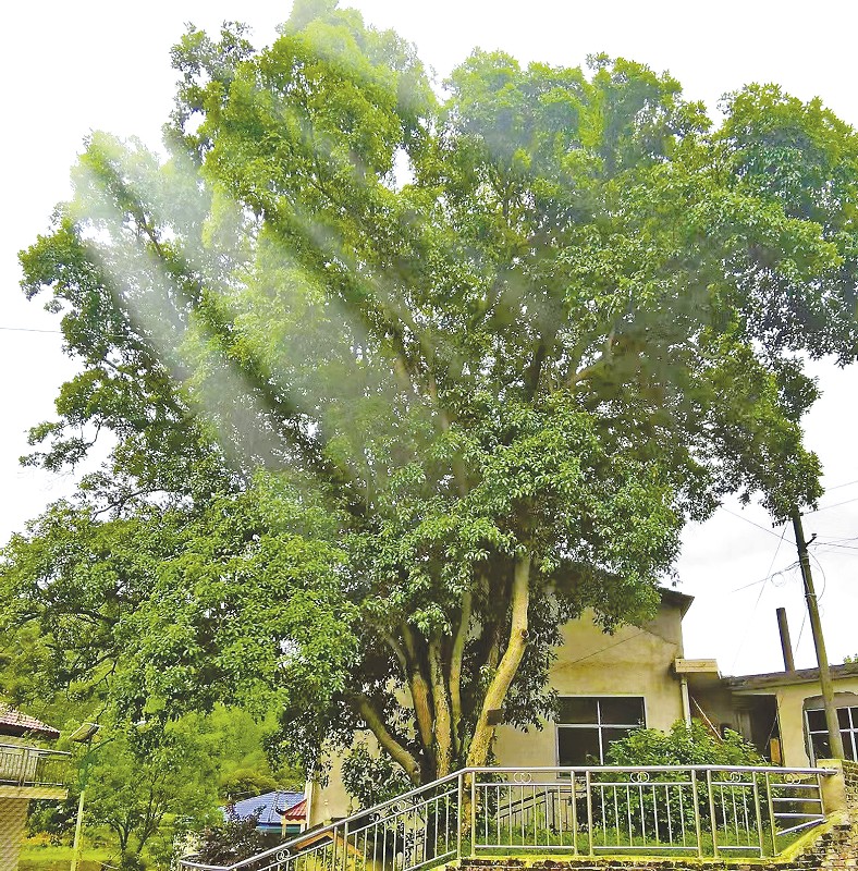 ��������500��ġ����Ϲ�����������������