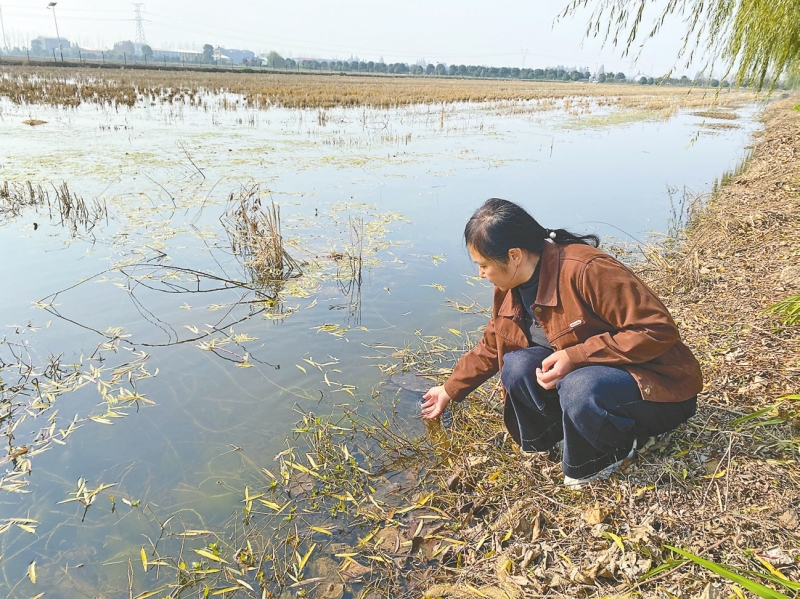 ս���� ������ͨ�� ������ũ��