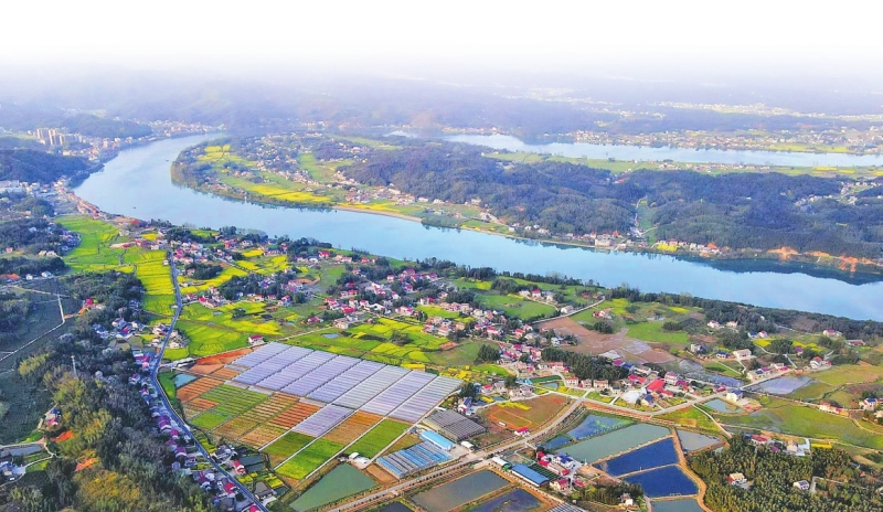 ��̶�� ����ɽ��ظ�· �������￪��ƪ