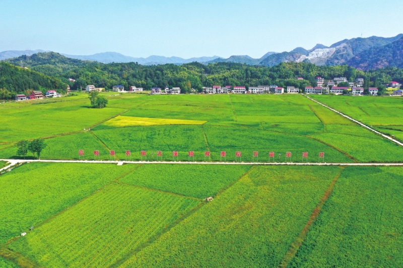 ��ˮ���������� ������չ�¾�