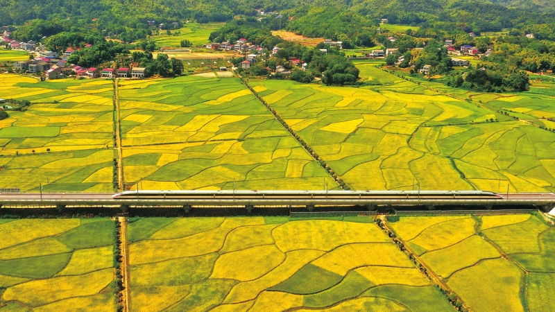 �ĸ��ˮ����Ұ ɽ����������ƪ