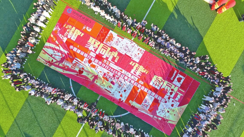 ���ϸ���Ż����ڷ��� ʵ�����й��׷�չ��ƪ