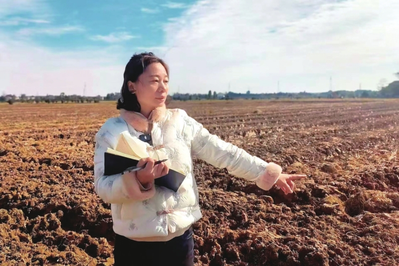 ���� ���İ���������