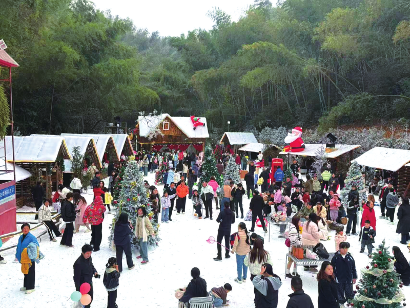 2026��������һ����ѩ����������è��