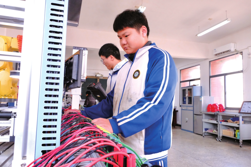 ����������Ϊ����չ��������������