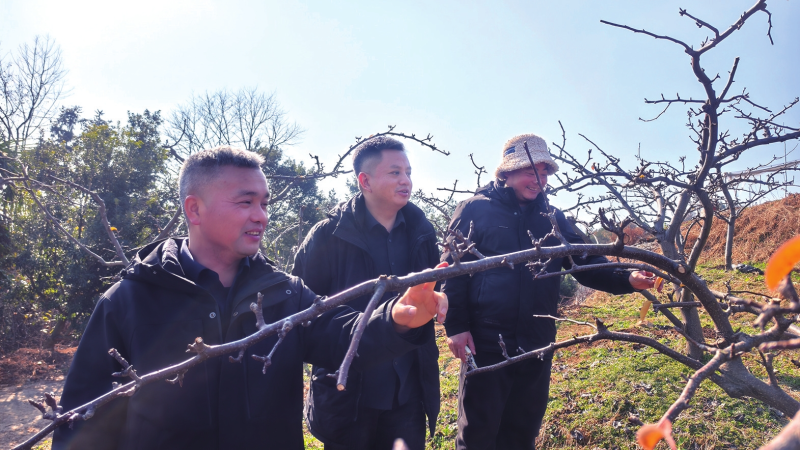 �Ƽ�����Ա��䡰��������������Խ��