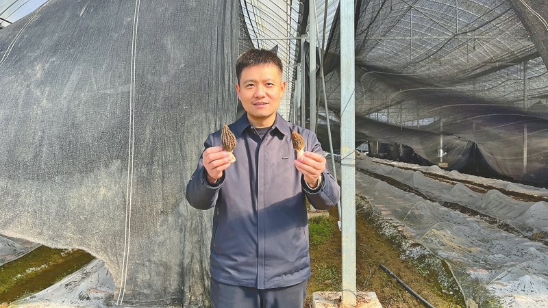 �߹� �������� ���ﲻ��