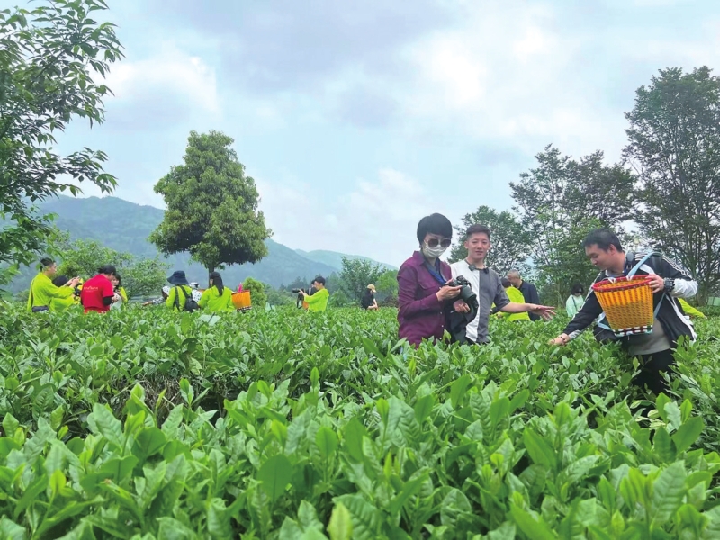 ������ҵ����17������ȫ��ǰʮ