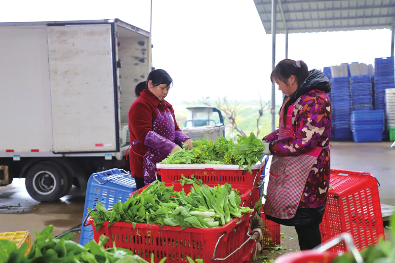 һ����ζ������