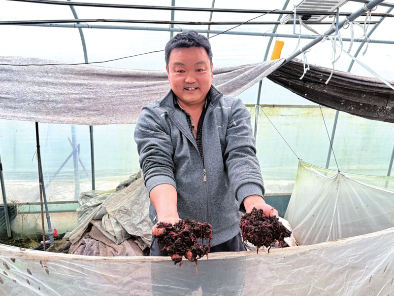 СС��򾡰�ꡱ������¸�·