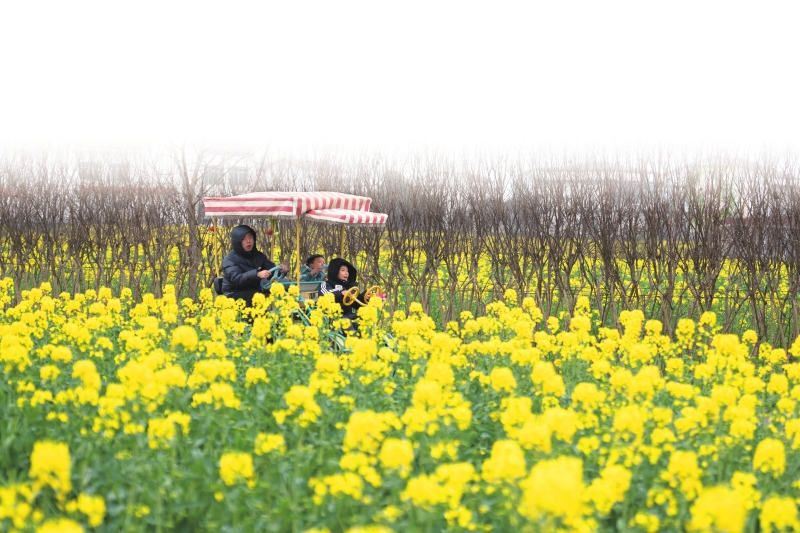 �������ա���������