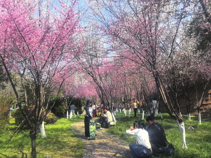 ��ů����̤��ȥ �����ܱ��ͻ��������պ�