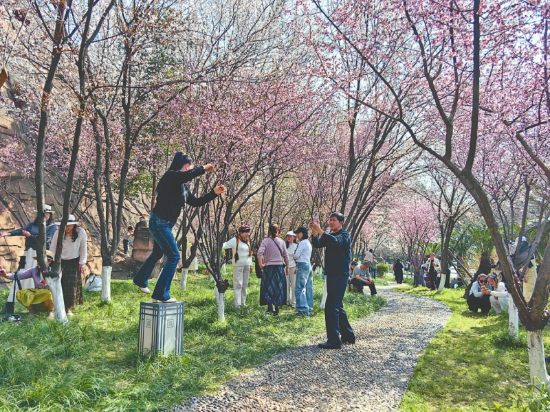 һ������һ��������幫԰ӣ��������ѹ�����