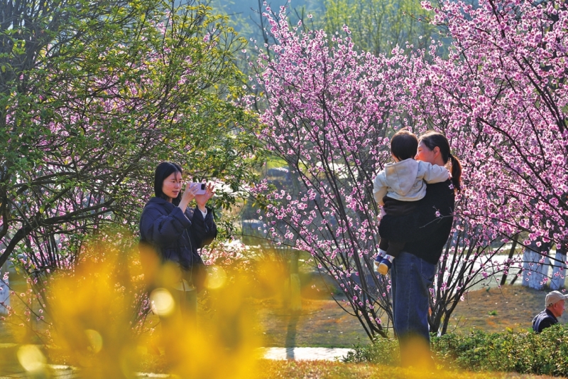 ��ӣ����������