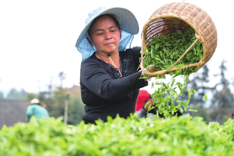 ��ɽ�����������ʡ�����