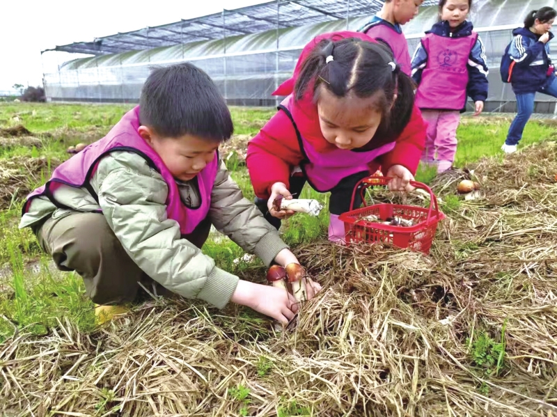 ��ˮ��ɽ��Ϊ��巢չ��Ӳ����