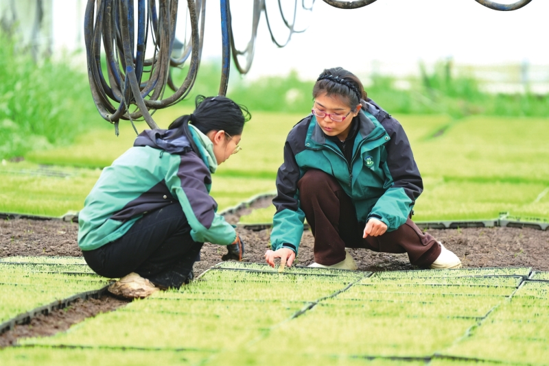 ��ͨ��  ����ţ���۳һ��¾�