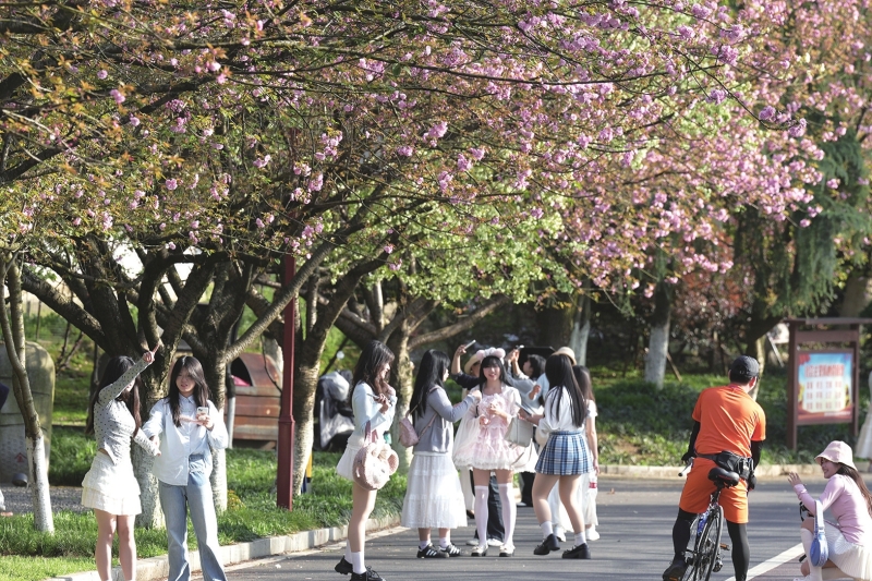 ��幫԰����ӣ��