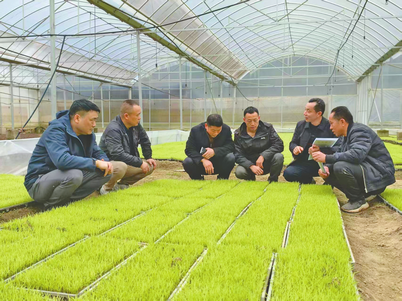 ����ӿ�ȳ���ɽҰ����ͼ