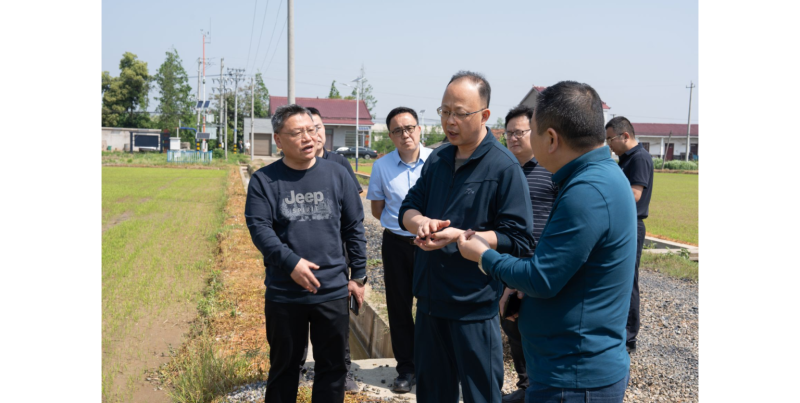 �����ֳ���