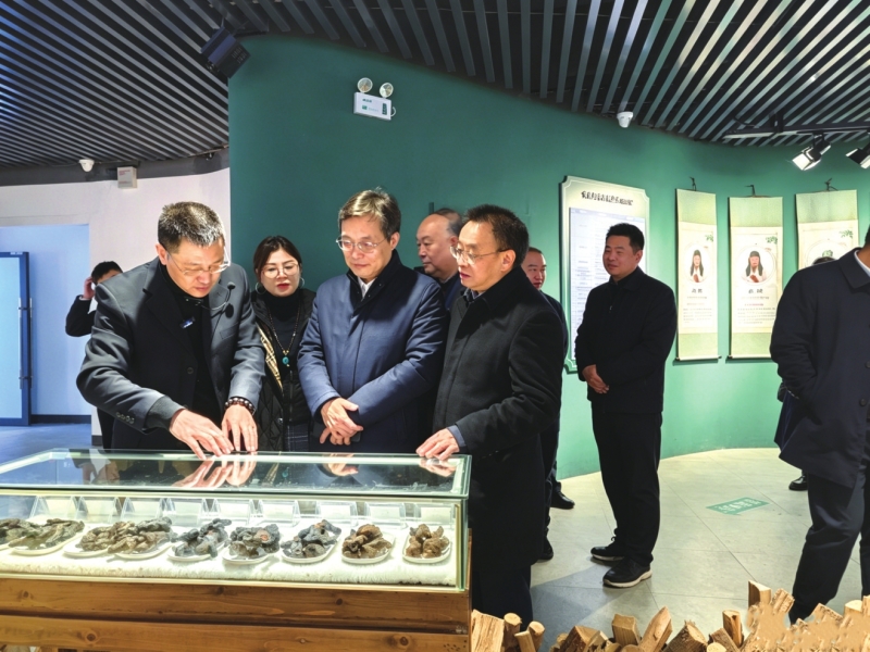 �������쵼��ʤȫ�����������ҽҩ�������쵼���ܲ���ƾ���
