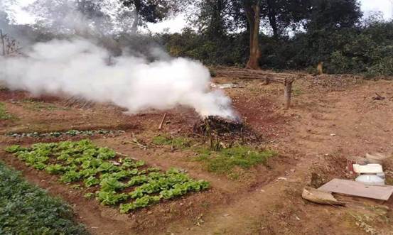 c374bf5caed8d625d1ce4140b9971db