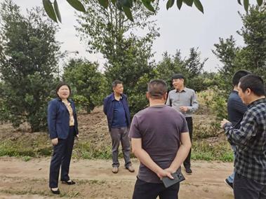 说明: 92412505567b74b7226cc93b70346c6