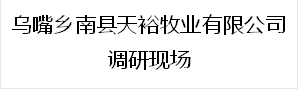 乌嘴乡南县天裕牧业有限公司调研现场