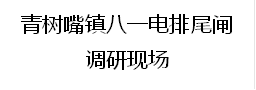 青树嘴镇八一电排尾闸
调研现场