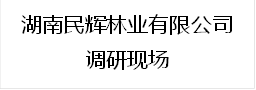 湖南民辉林业有限公司
调研现场
