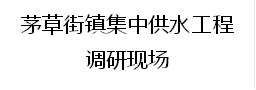 茅草街镇集中供水工程
调研现场