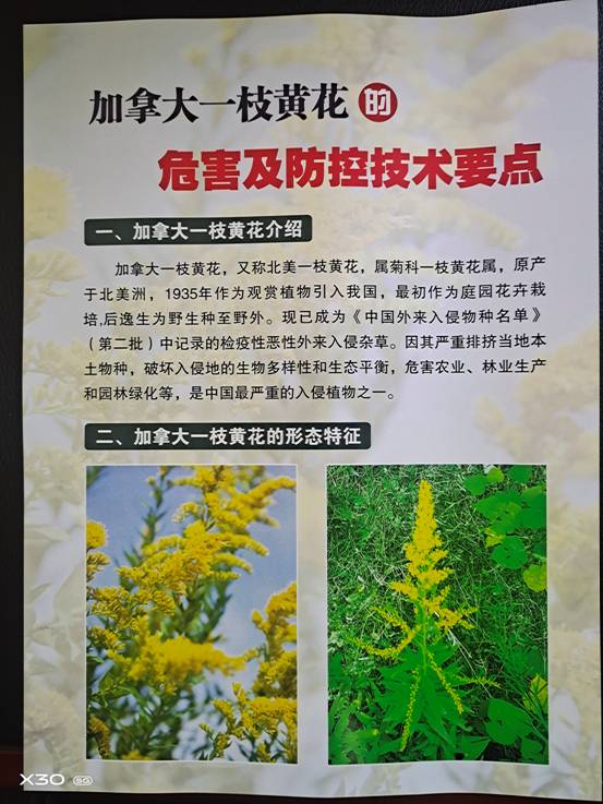 bf89b5469fff3e9a8d20e4251a978a9