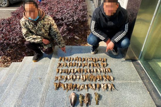 ����ɱ��Ұ���������