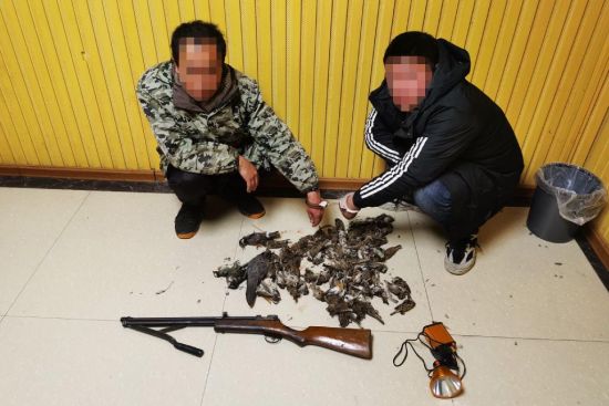 ����������ָ�ϷǷ����Ե�Ұ�����Ｐ�������ߡ�