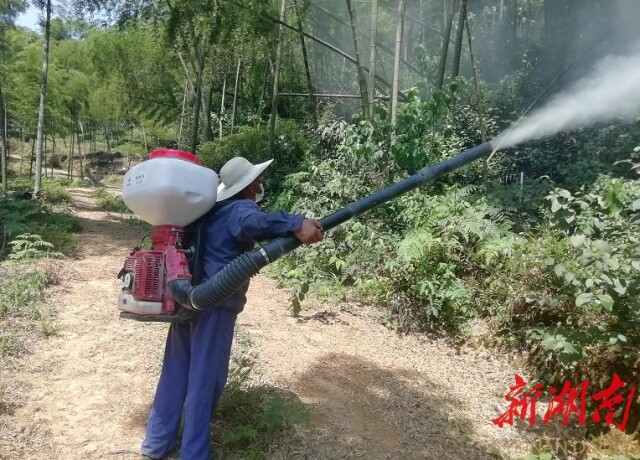 ������ȣ��ҽ��������֡�����ս��