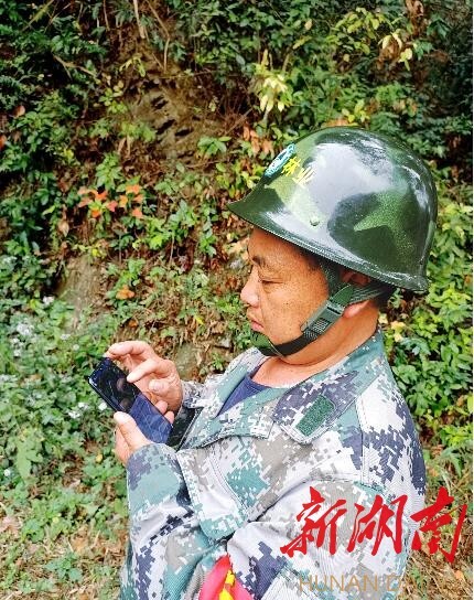 �����С�ɭ�����ۡ��ػ�����̬�̡�