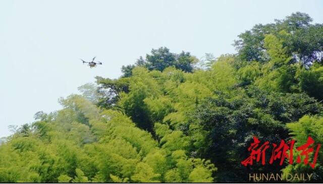 �����С�ɭ�����ۡ��ػ�����̬�̡�