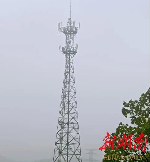 �����С�ɭ�����ۡ��ػ�����̬�̡�