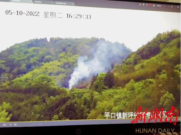 �����С�ɭ�����ۡ��ػ�����̬�̡�