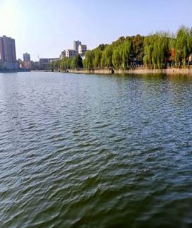 说明: D:\Desktop\6_副本.jpg