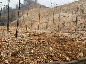 说明: 77ab03b8be167d1abee45d321cb227f