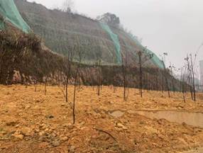 说明: 5e0dc4ded26d244572d72fde4d36400