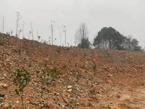 说明: 87865fe7caca95f39f2fabb9d111a16