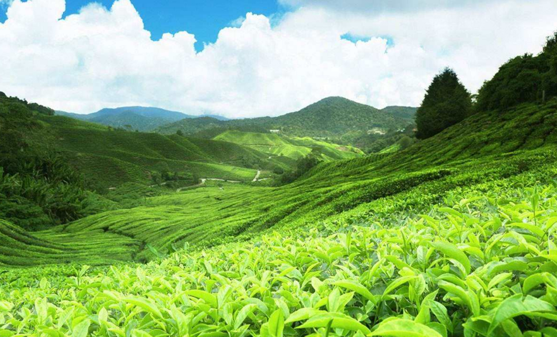 ��ҵ����