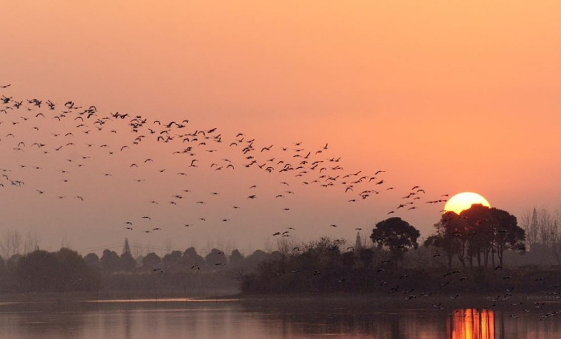 �������