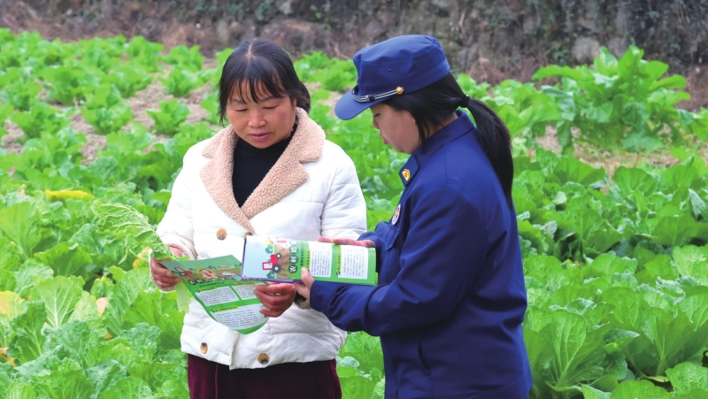 ������������� ����֪ʶ������